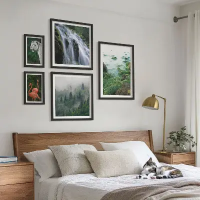 Gallery wall Nature wild animals landscapes