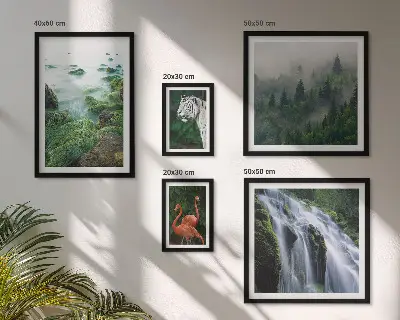 Gallery wall Nature wild animals landscapes