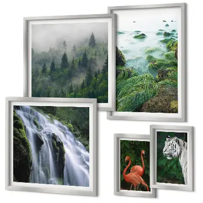 Gallery wall Nature wild animals landscapes