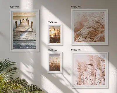 Gallery wall Peaceful views of nature