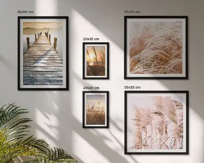 Gallery wall Peaceful views of nature