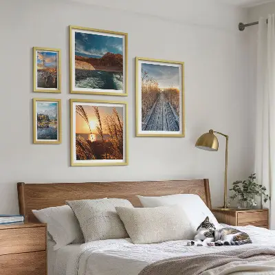 Framed photo set Landscapes water vegetation trail