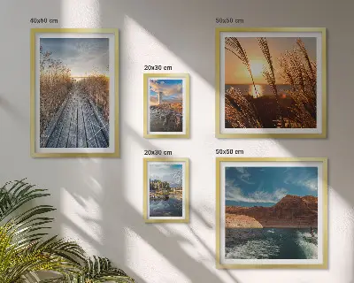 Framed photo set landscapes with water, vegetation, and a trail
