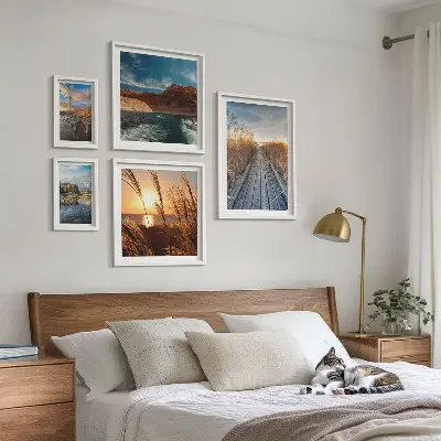 Framed photo set Landscapes water vegetation trail