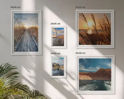 Framed photo set landscapes with water, vegetation, and a trail