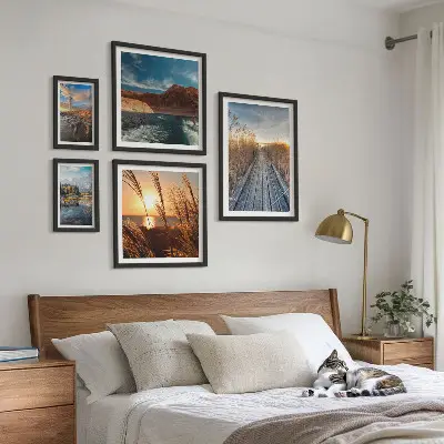 Framed photo set Landscapes water vegetation trail