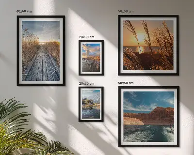 Framed photo set landscapes with water, vegetation, and a trail