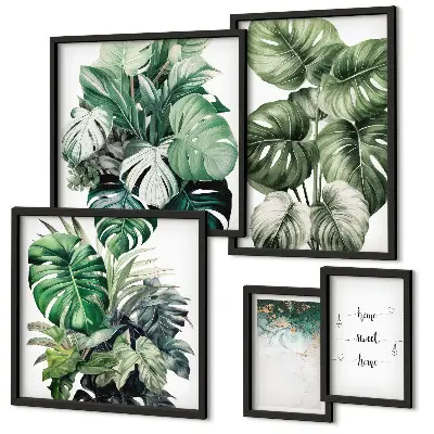 Framed photo set Modern plant inspirations
