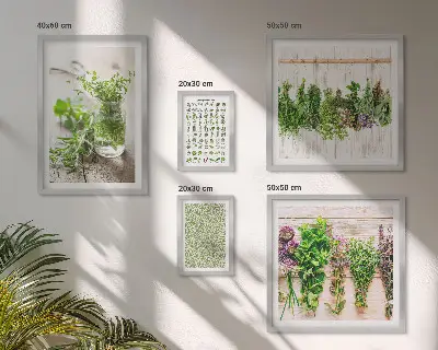 Gallery wall Herbal decoration inspirations