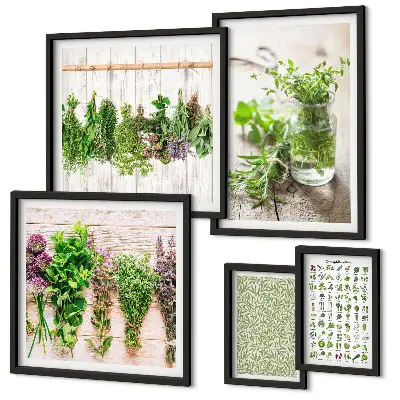 Gallery wall Herbal decoration inspirations