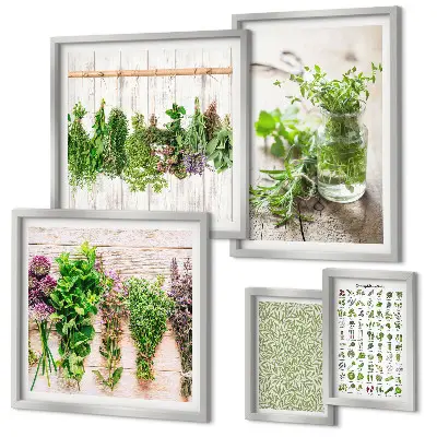 Gallery wall Herbal decoration inspirations