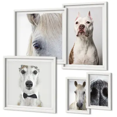 Framed photo set Modern animal portraits