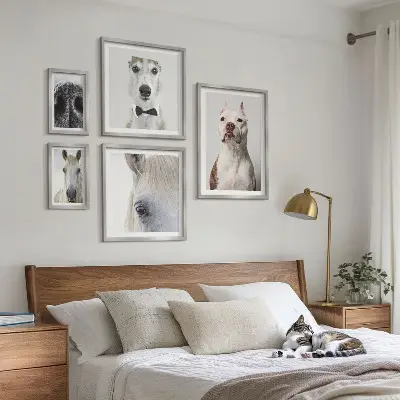 Framed photo set Modern animal portraits