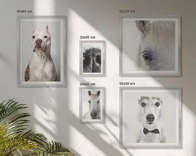 Framed photo set Modern animal portraits
