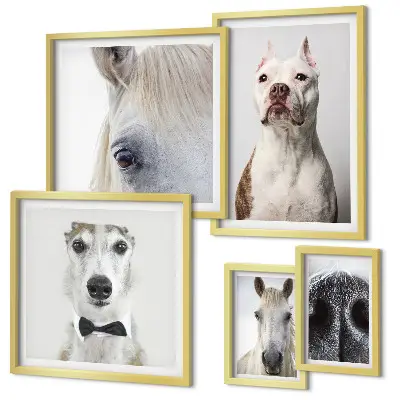 Framed photo set Modern animal portraits