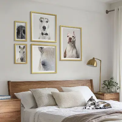 Framed photo set Modern animal portraits