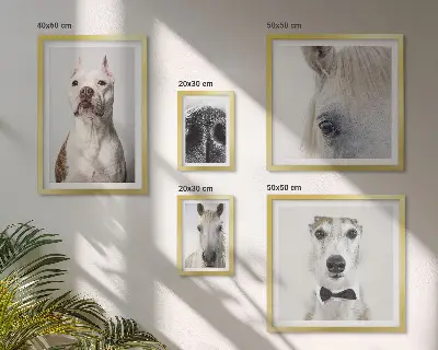 Framed photo set Modern animal portraits