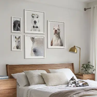 Framed photo set Modern animal portraits