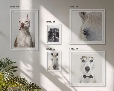 Framed photo set Modern animal portraits