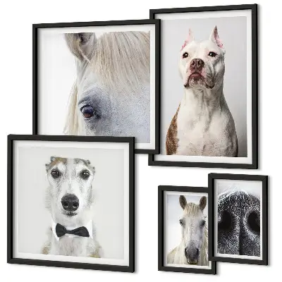 Framed photo set Modern animal portraits