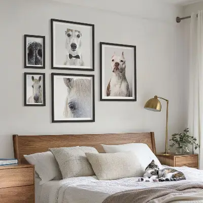 Framed photo set Modern animal portraits