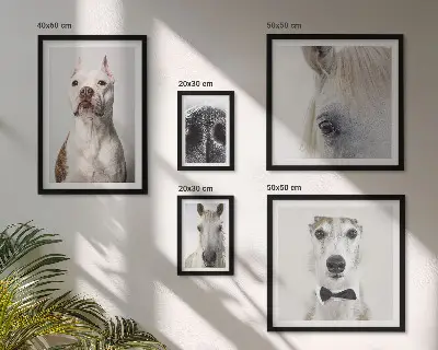 Framed photo set Modern animal portraits
