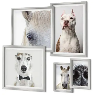 Framed photo set Modern animal portraits