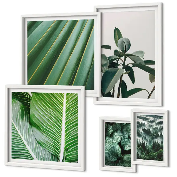 Tropical plant framed photo set inspirations