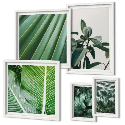 Framed photo set Tropical plant inspirations