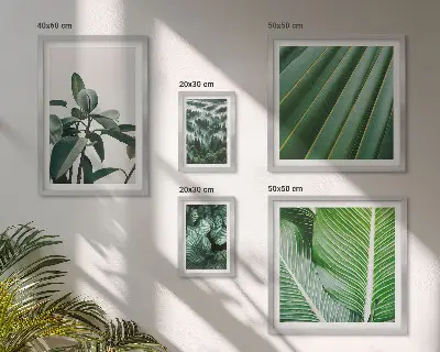 Framed photo set Tropical plant inspirations