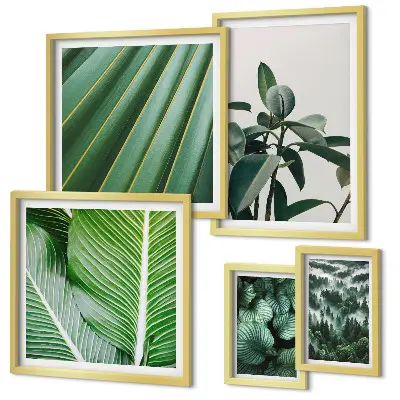 Tropical plant framed photo set inspirations