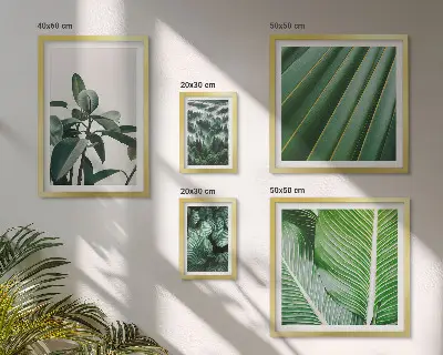 Tropical plant framed photo set inspirations