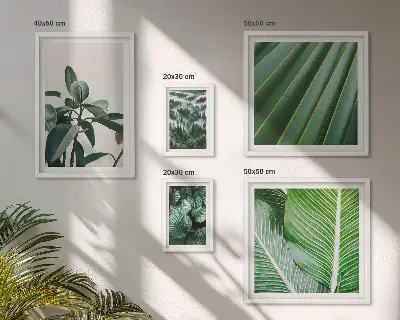 Framed photo set Tropical plant inspirations