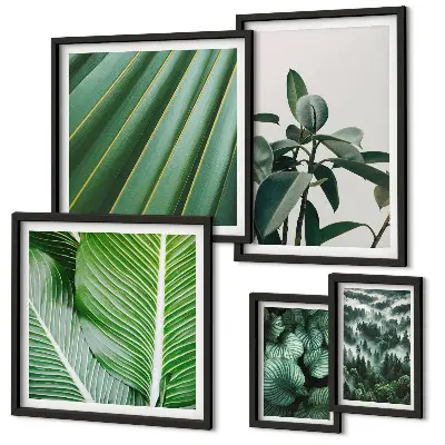 Framed photo set Tropical plant inspirations