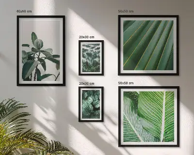 Framed photo set Tropical plant inspirations