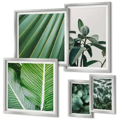 Framed photo set Tropical plant inspirations
