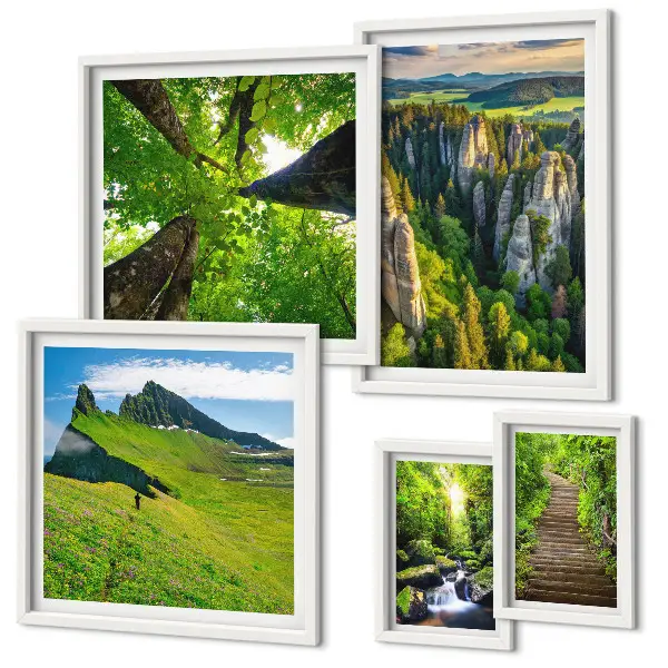 Framed photo set Green landscapes nature paths
