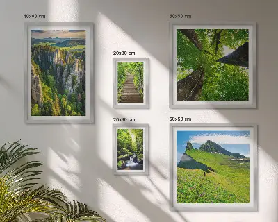Framed photo set green nature landscapes with paths