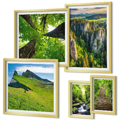 Framed photo set green nature landscapes with paths