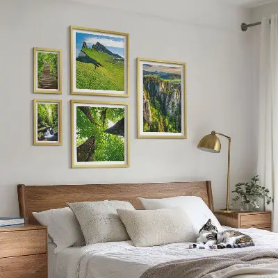 Framed photo set Green landscapes nature paths