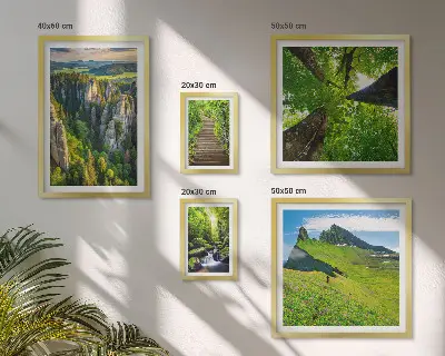 Framed photo set Green landscapes nature paths