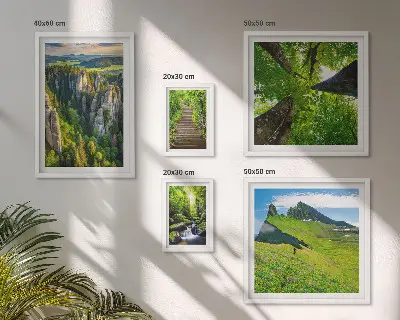 Framed photo set green nature landscapes with paths