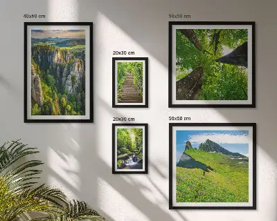 Framed photo set green nature landscapes with paths