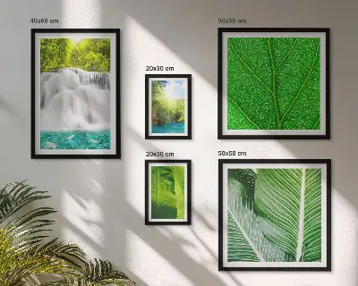 Set of 5 wall art pieces Tropical Palm Waterfalls