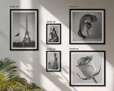 Gallery wall Stylish black and white Paris