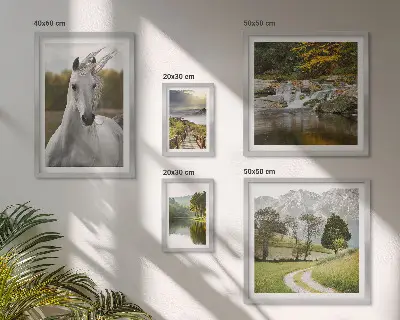 Framed photo set Landscapes Landscapes Horse