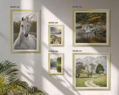 Framed photo set Landscapes Landscapes Horse