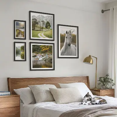 Framed photo set Landscapes Landscapes Horse