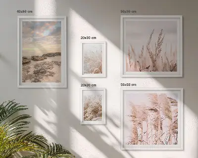 Gallery wall Seaside landscapes, sun