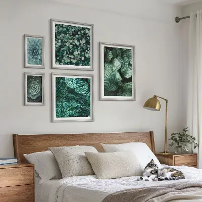 Gallery wall Plant leaves succulents nature